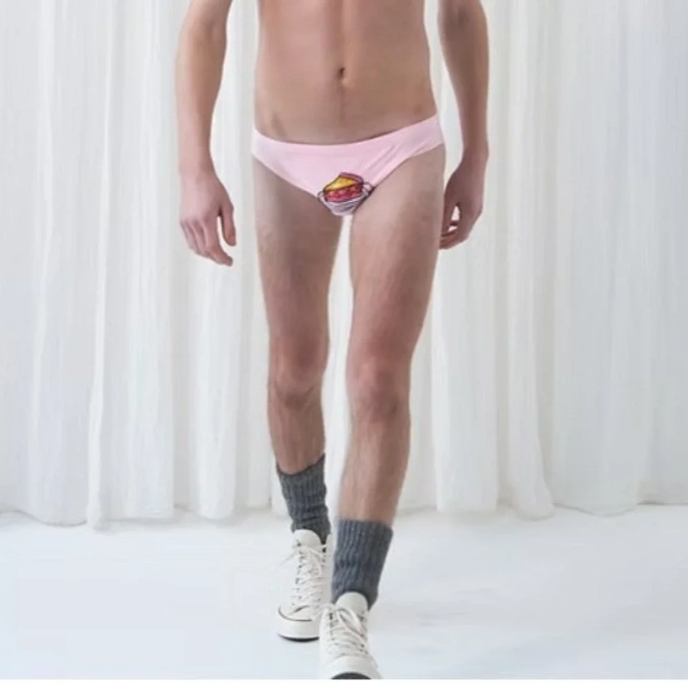 Lazoschmidl Adrian Cake Speedos Pink Embroidered Swim Briefs Small